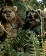 Ewok