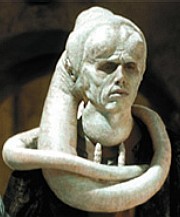 Bib Fortuna