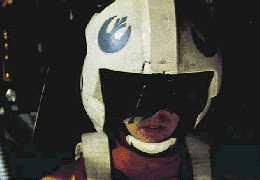 Lieutenant Wenton Chan