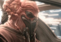 Battle of Cato Neimoidia