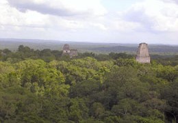 Yavin 4