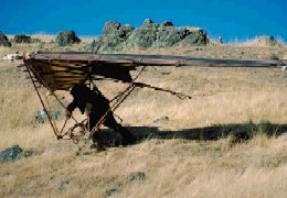 Ewok hang glider