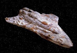 Mon Calamari Star Cruiser