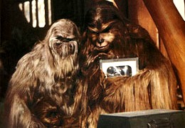 Chewbacca's family