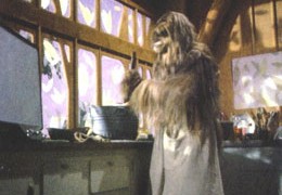 Malla in the kitchen