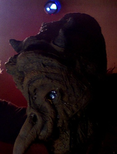 ファイル:Miiyoom Onith.jpg