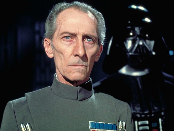 ファイル:Tarkin DS.jpg