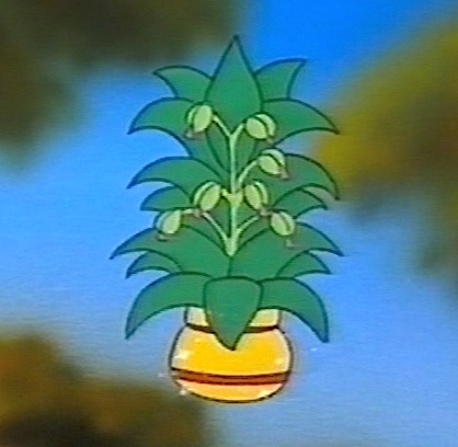 ファイル:Wish plant.jpg