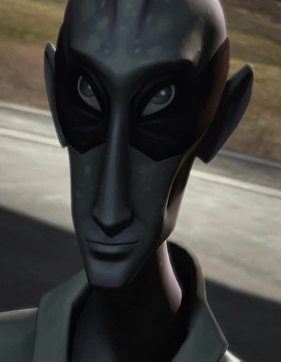 ファイル:Nuvo Vindi.jpg