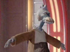 Slyther Bushforb.jpg