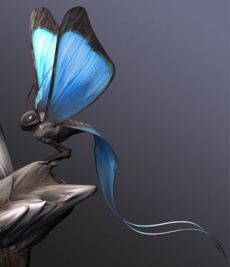 Carrier Butterfly.jpg