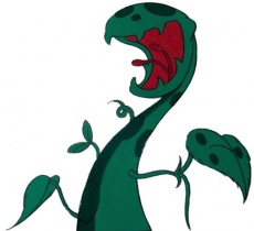 Stranglethorn cell.jpg