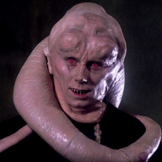 Bib Fortuna2.jpg