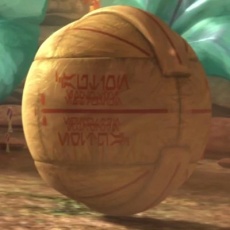 Survival capsule.jpg