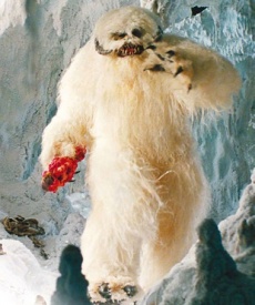 Wampa2.jpg