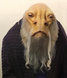 Lanever Villecham.jpg