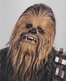 Chewbacca3.jpg