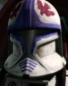 Hawk custom helmet.jpg