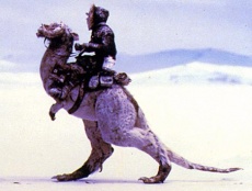 Tauntaun.jpg